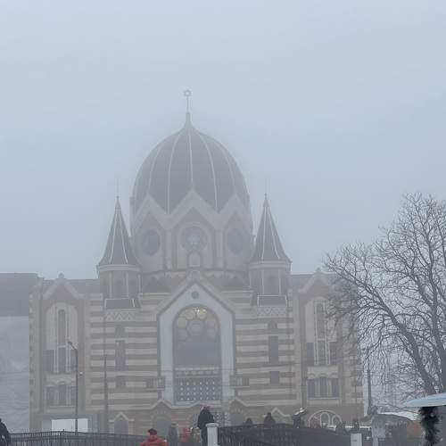 Photo #7668060