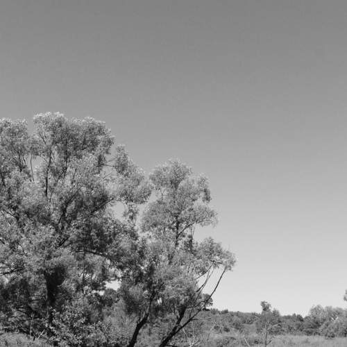 Photo #7668091