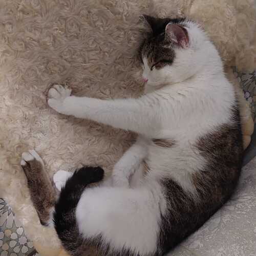 Photo #7668198