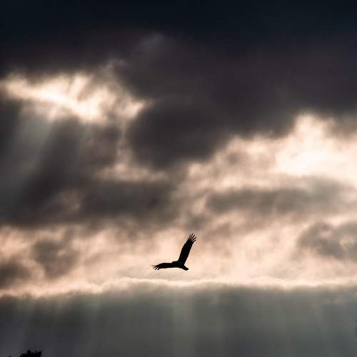 Photo #7668239