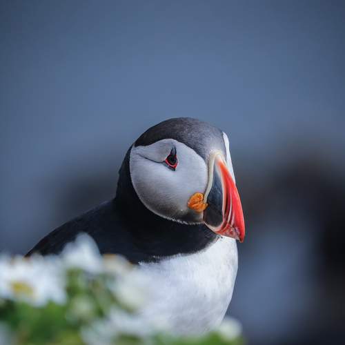 Photo #7668622