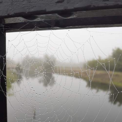 Photo #7668802