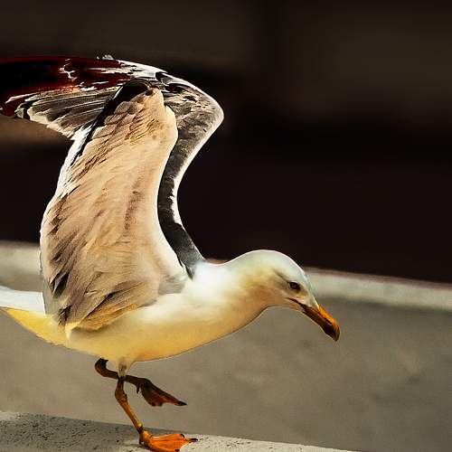 Photo #7668858