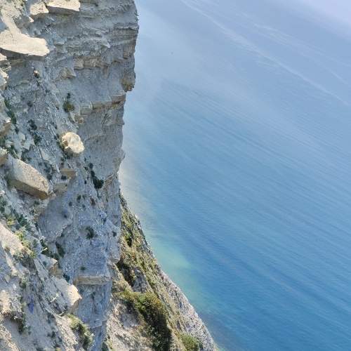 Photo #7668940