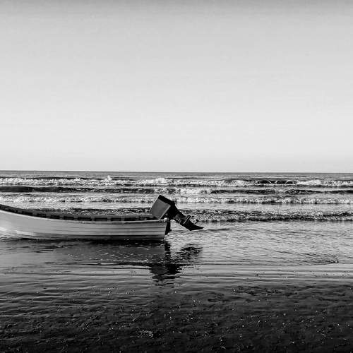Photo #7669157