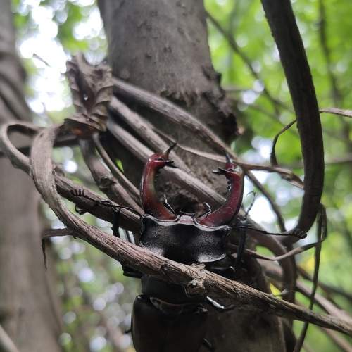 Photo #7669231