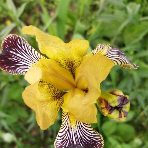 Photo #7669805