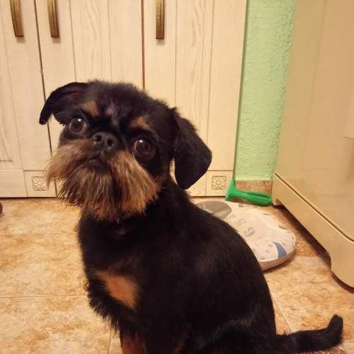 Photo #7669825