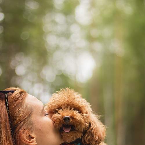 Photo #7669889