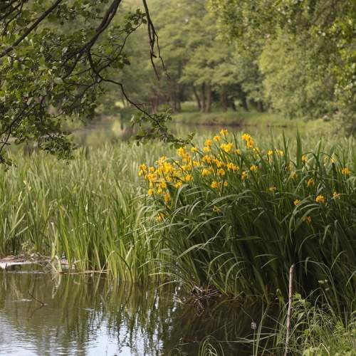 Photo #7670169