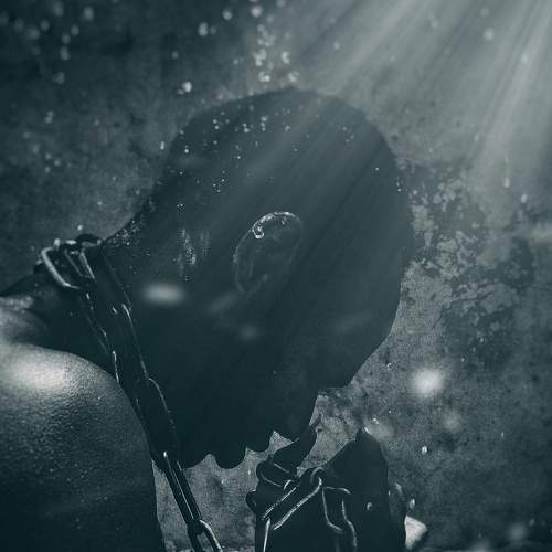 Photo #7670286