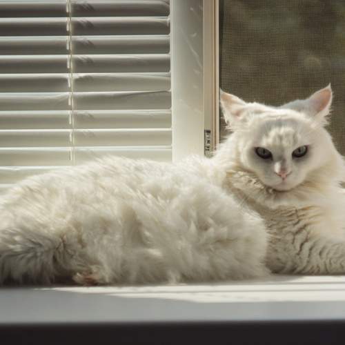 Photo #7670315