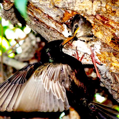 Photo #7670425