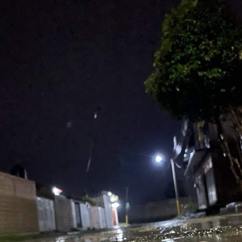 Photo #7670632