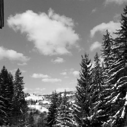 Photo #7670754