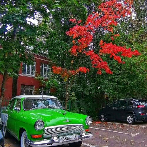 Photo #7670788