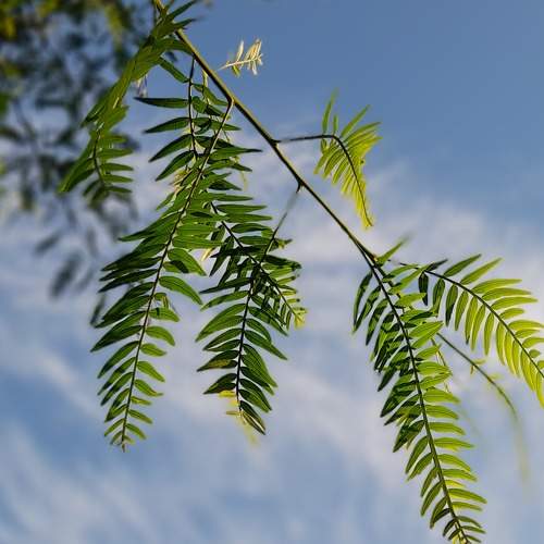 Photo #7670935