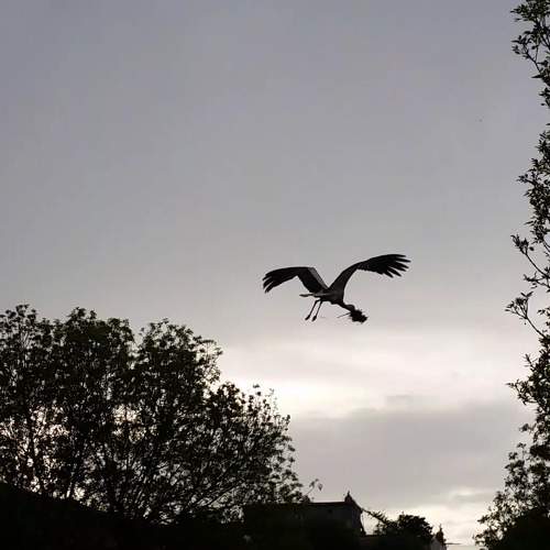 Photo #7670959