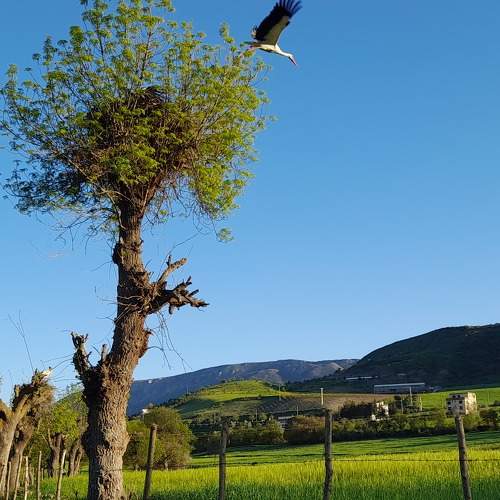 Photo #7670966