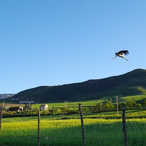 Photo #7670972