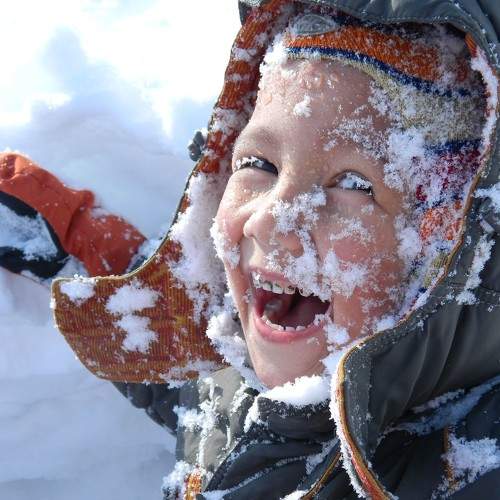 Photo #7671021