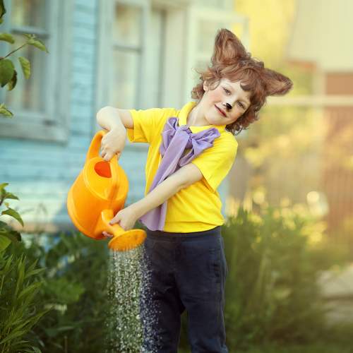Photo #7671493