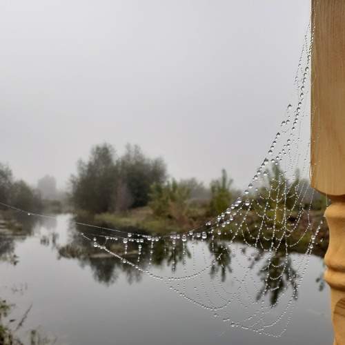 Photo #7671737