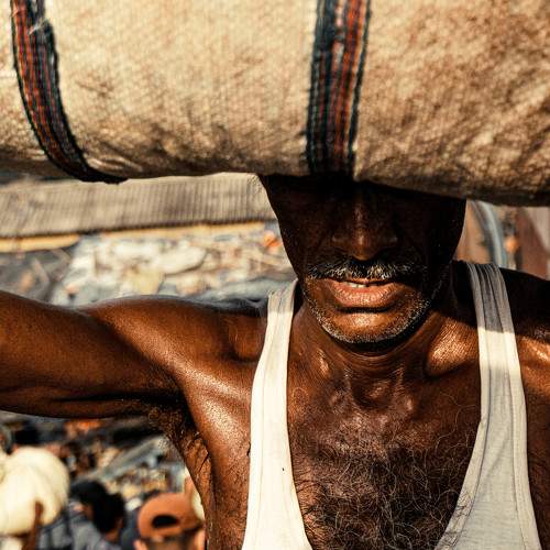 Photo #7672012