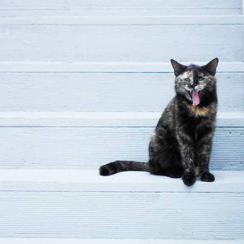 Photo #7672248