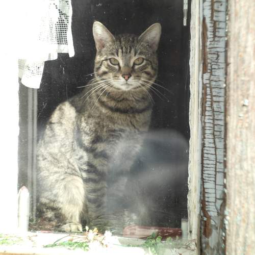 Photo #7672271