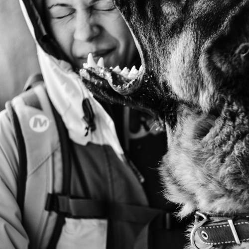 Photo #7672285