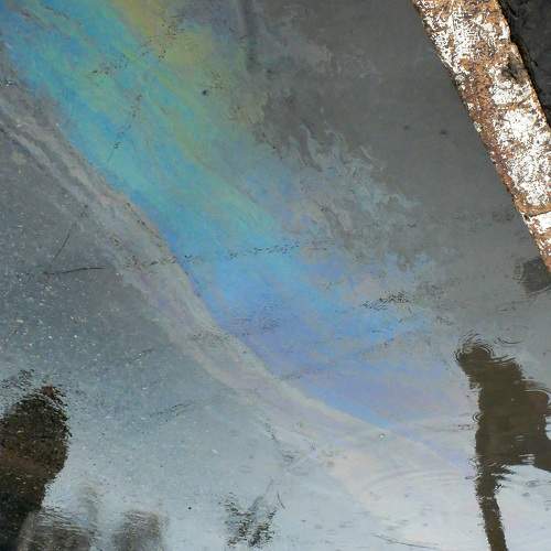 Photo #7672438