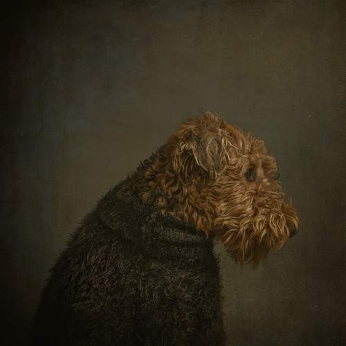 Photo #7672741