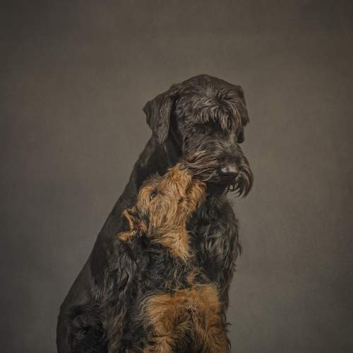 Photo #7672743