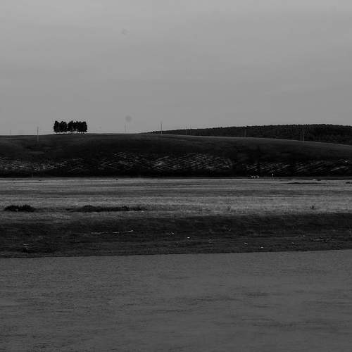 Photo #7672815