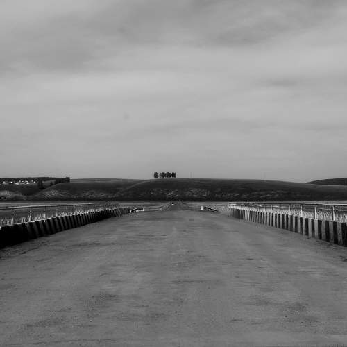 Photo #7672816