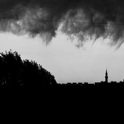 Photo #7673107
