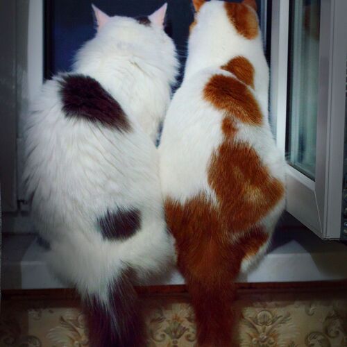 Photo #7673175