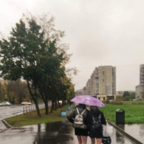 Photo #7673199