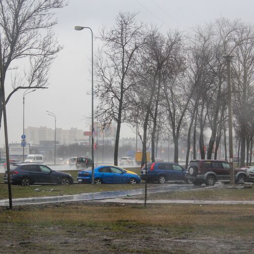 Photo #7673200