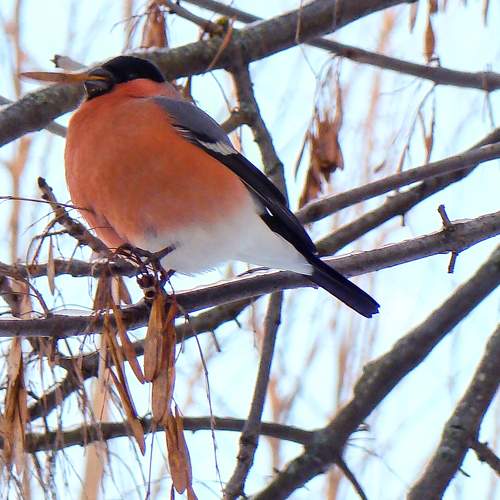 Photo #7673220