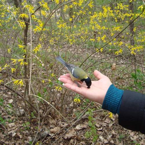 Photo #7673296
