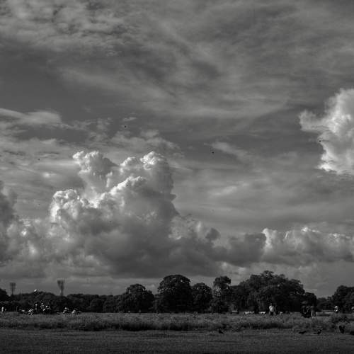 Photo #7673540