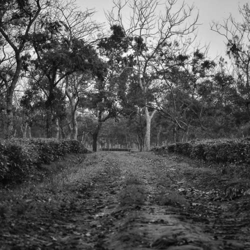 Photo #7673544