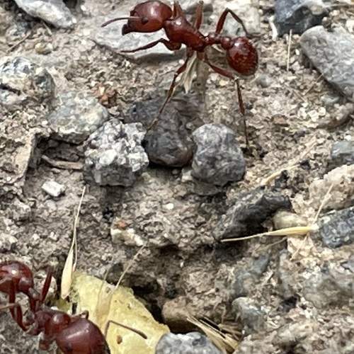 Photo #7673902