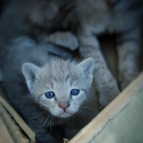 Photo #7674042