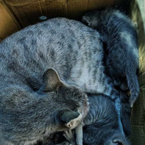 Photo #7674046