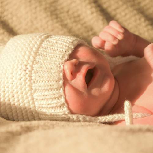 Photo #7674484