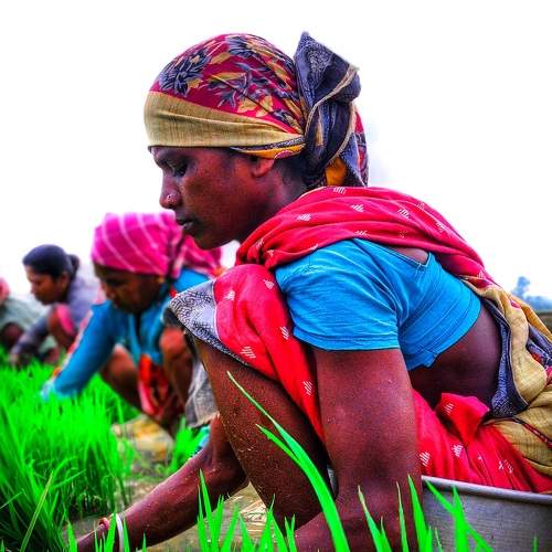 Photo #7674535