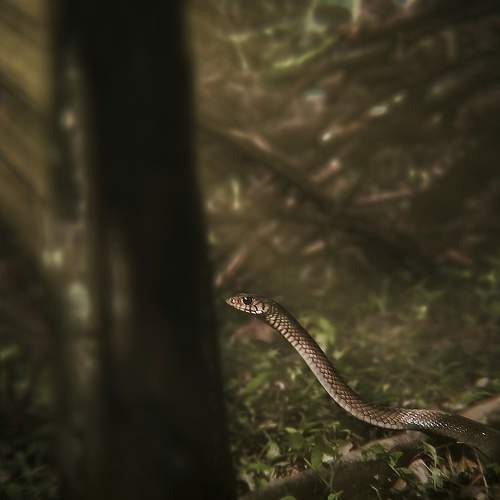 Photo #7674567
